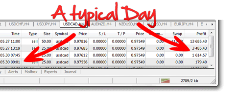 Forex Millionaires System-Preview-Day